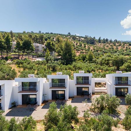 Olea Villas By Halu!, Cozy Villa In Nikiti Lagomandra Extérieur photo