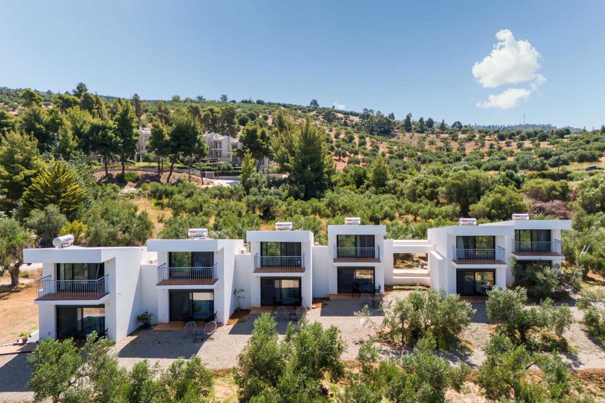 Olea Villas By Halu!, Cozy Villa In Nikiti Lagomandra Extérieur photo
