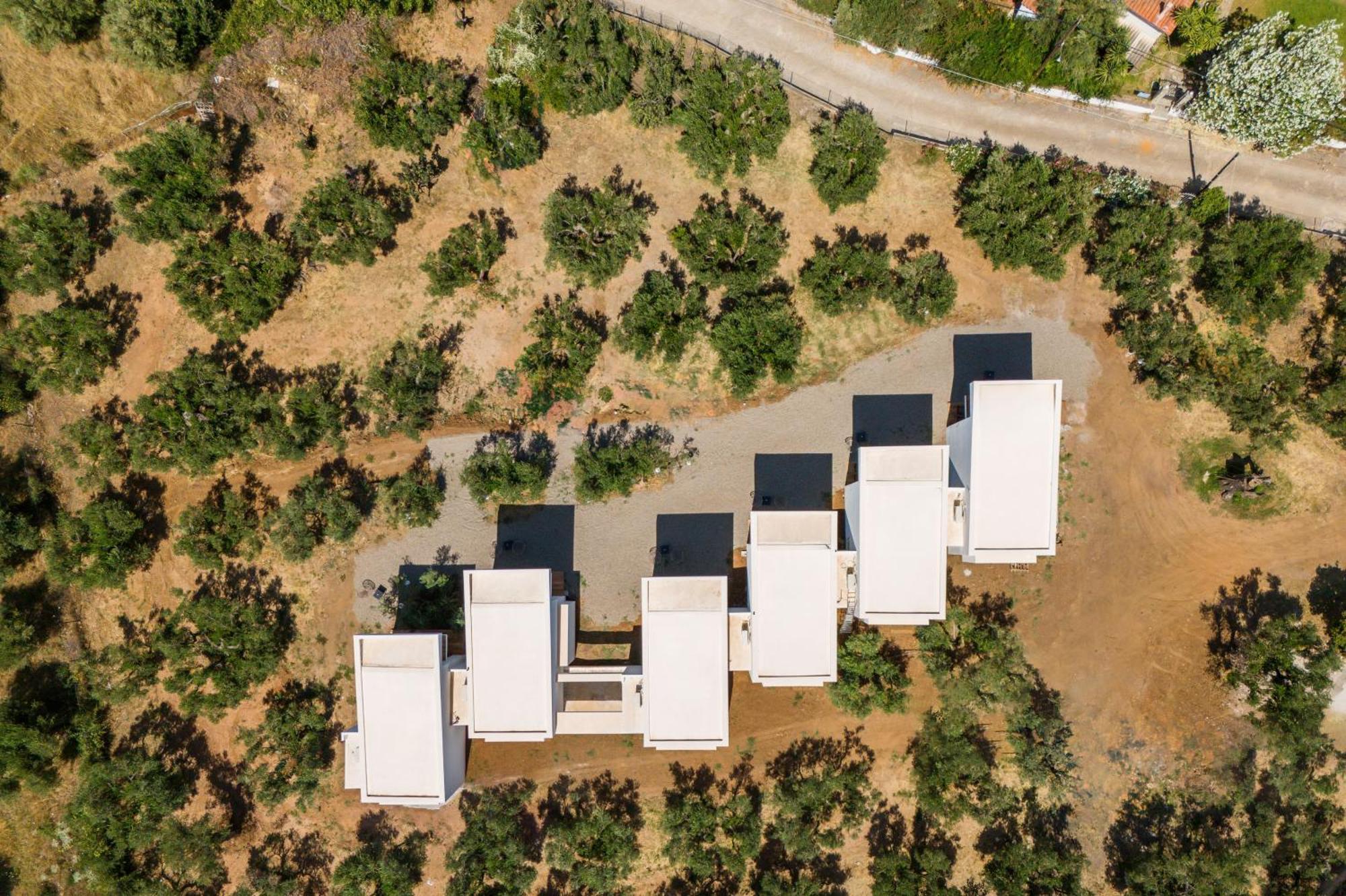 Olea Villas By Halu!, Cozy Villa In Nikiti Lagomandra Extérieur photo
