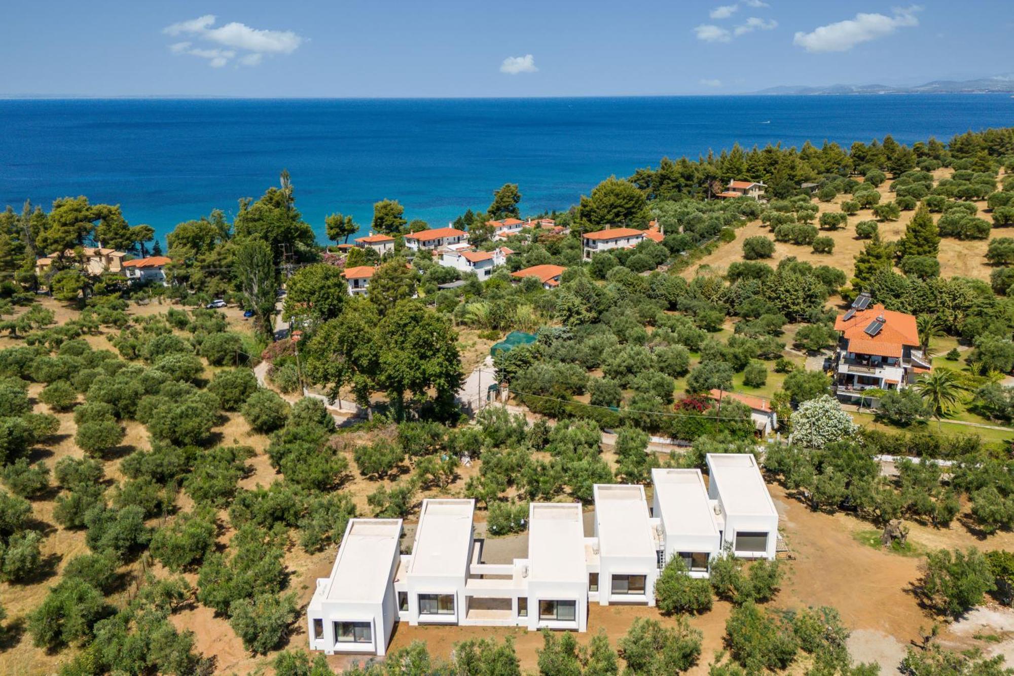Olea Villas By Halu!, Cozy Villa In Nikiti Lagomandra Extérieur photo